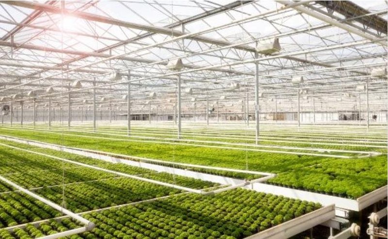 【四月新品】Luminus推出5050中功率户外照明MP-5050-250R