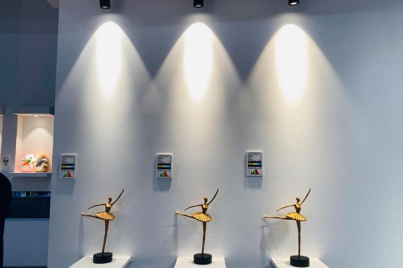 「与房宁对话」— 朗明纳斯光电2022年稳中求进，行稳致远