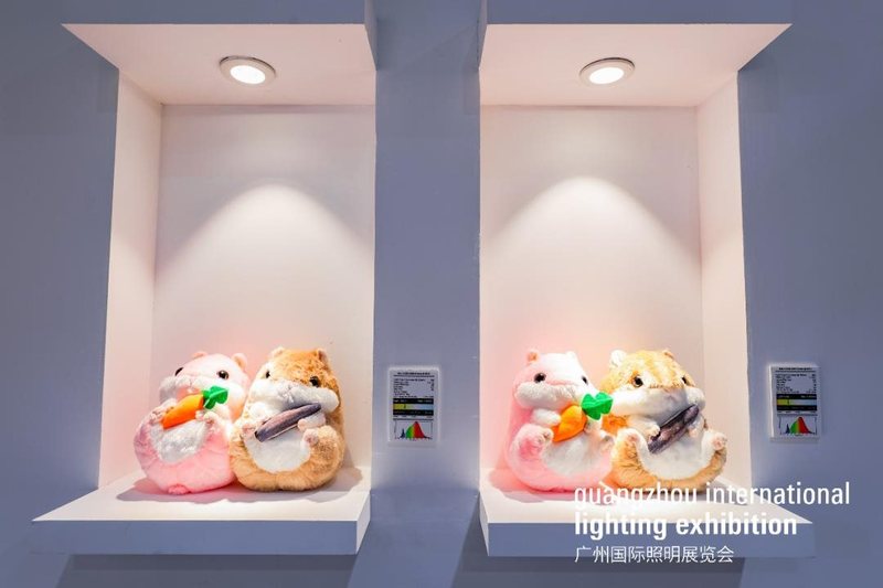 「与房宁对话」— 朗明纳斯光电2022年稳中求进，行稳致远