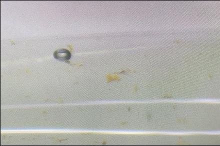 Q&A |压电阀大解惑，这就是你要的续集！ 收录于合集 #压电阀 3个